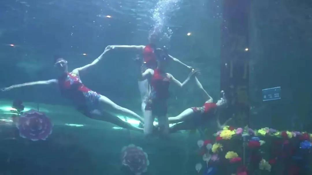 在龙门海洋馆五米多深的人造海水中,美人鱼小姐姐的表演吸引了众多